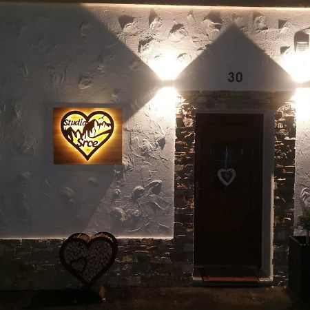 Studio Srce Kranjska Gora Buitenkant foto